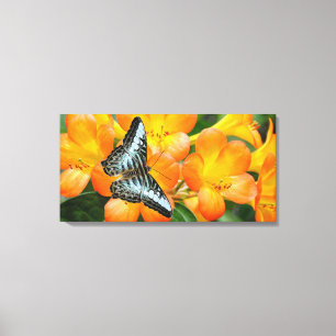 Blauer Schmetterling mit tropischem Rhododendron Leinwanddruck