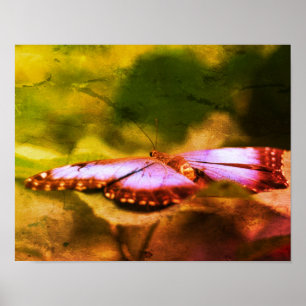 Blauer Schmetterling Natur gestresste Kunst Poster