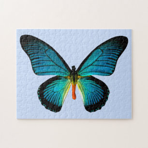 Blauer Schmetterling-Puzzle