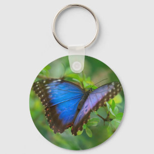 Blauer Schmetterling Schlüsselanhänger