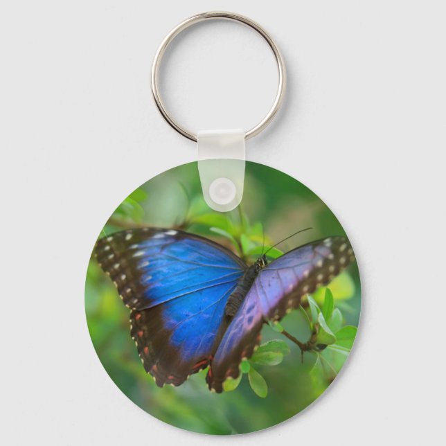 Blauer Schmetterling Schlüsselanhänger (Vorderseite)
