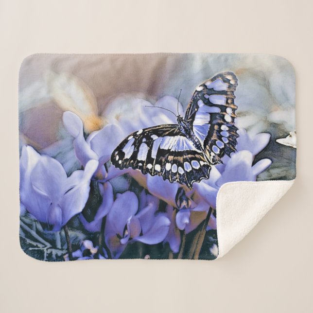Blauer Schmetterling Sherpadecke (Vorderseite (Horizontal))