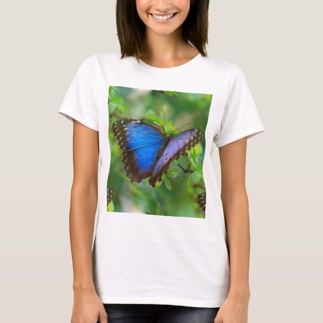Blauer Schmetterling T-Shirt (Vorderseite)