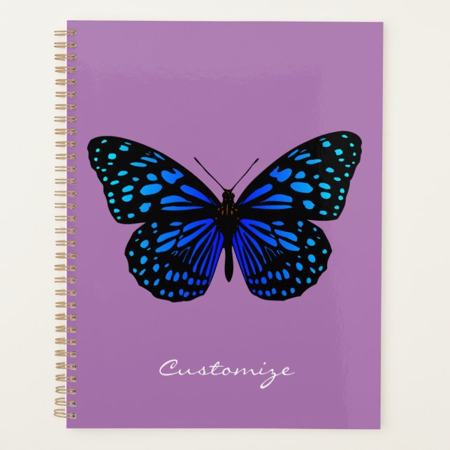 Blauer Schmetterling Thunder_Cove Planer (Vorderseite)