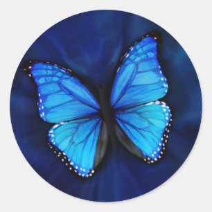 Blauer Schmetterlings-Aufkleber Runder Aufkleber