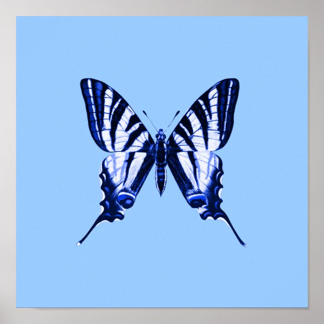 Blauer Schmetterlingsplakat Poster (Vorne)