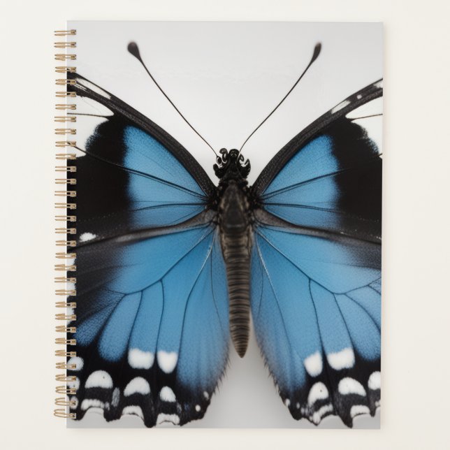 Blauer Schmetterlingsplaner Planer (Vorderseite)