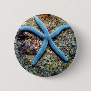 Blauer Seestern tropischer Ozean Raja Ampat Inseln Button