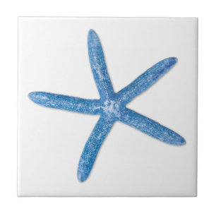 Blauer Seeteufel Fliese