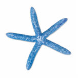 Blauer Seeteufel Freistehende Fotoskulptur<br><div class="desc">Bei Single Blue Starfish haben wir White Background</div>