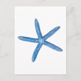 Blauer Seeteufel Postkarte