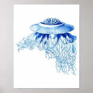 Blauer Seewand-Dekor des Quallen-Kunst-Druck-No.5 Poster