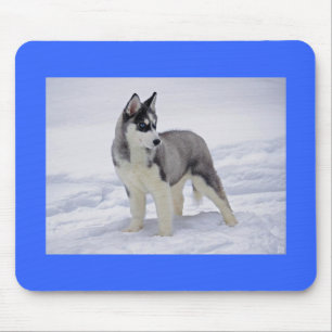 Blauer sibirischer Husky-Welpe Hund in Schnee-Maus Mousepad