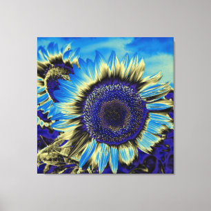 Blauer Sonnenblume Leinwanddruck