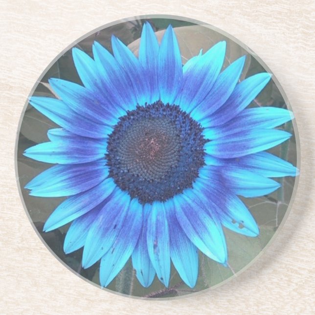 Blauer Sonnenblumen-Untersetzer Getränkeuntersetzer (Vorne)
