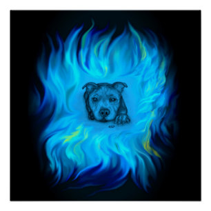Blauer Staffy Welpe Poster