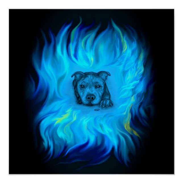 Blauer Staffy Welpe Poster (Vorderseite)