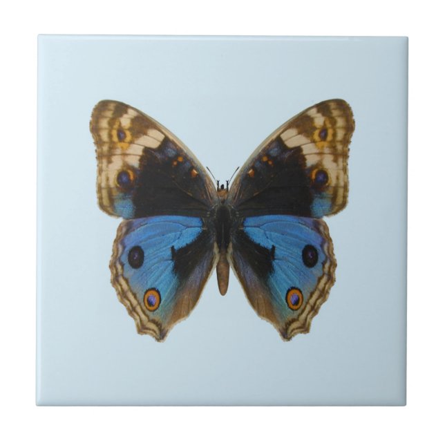 Blauer Stiefmütterchen-Schmetterling Fliese (Vorderseite)