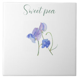 Blauer Süßerbse Blume botanische Aquarellfarbe Fliese