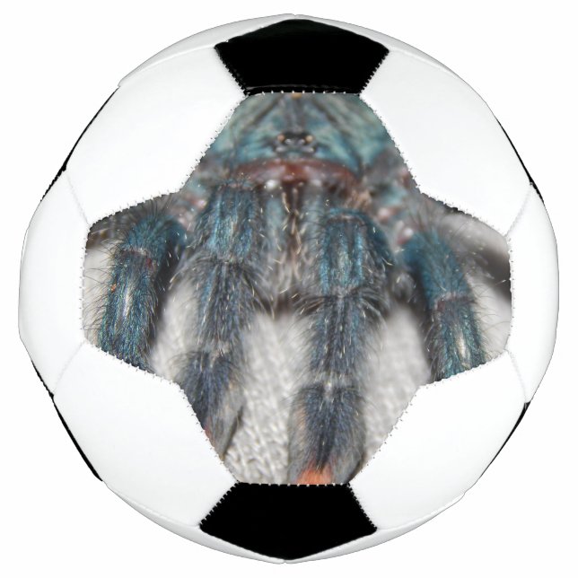 Blauer Tarantel Fußball (Vorderseite)