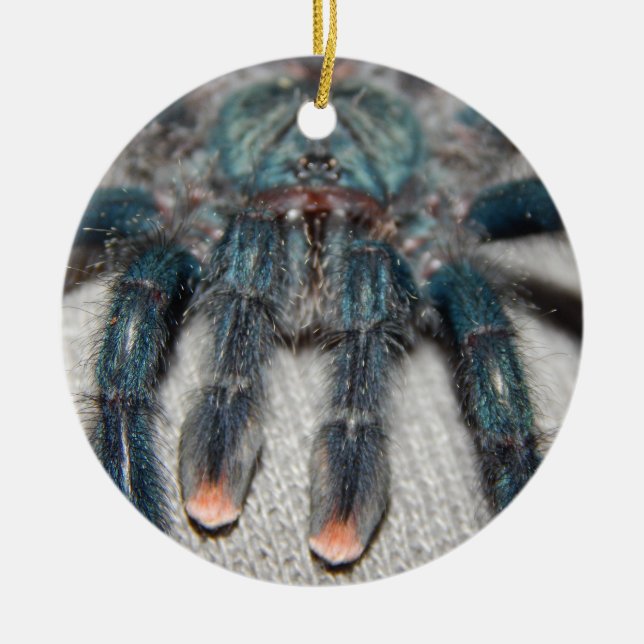 Blauer Tarantel Keramik Ornament (Vorne)