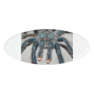 Blauer Tarantel Namenschild