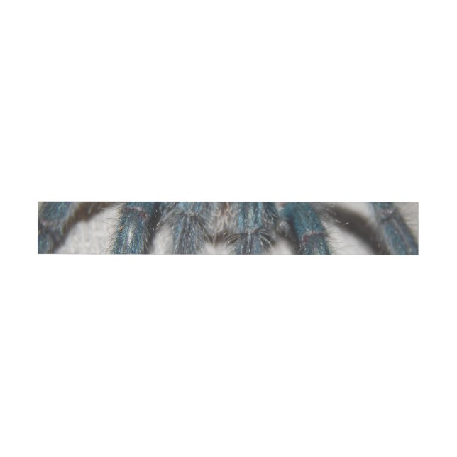 Blauer Tarantel Rundum-Adressaufkleber (Person)