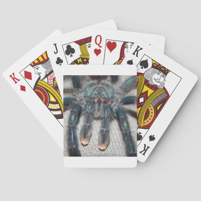 Blauer Tarantel Spielkarten (Rückseite)