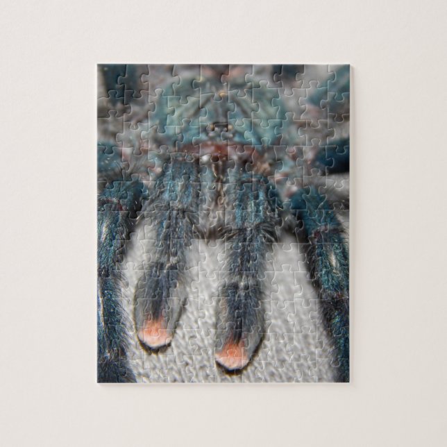 blauer Tarantula (Vertikal)