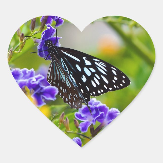 Blauer Tigerschmetterling Herz-Aufkleber (Vorderseite)