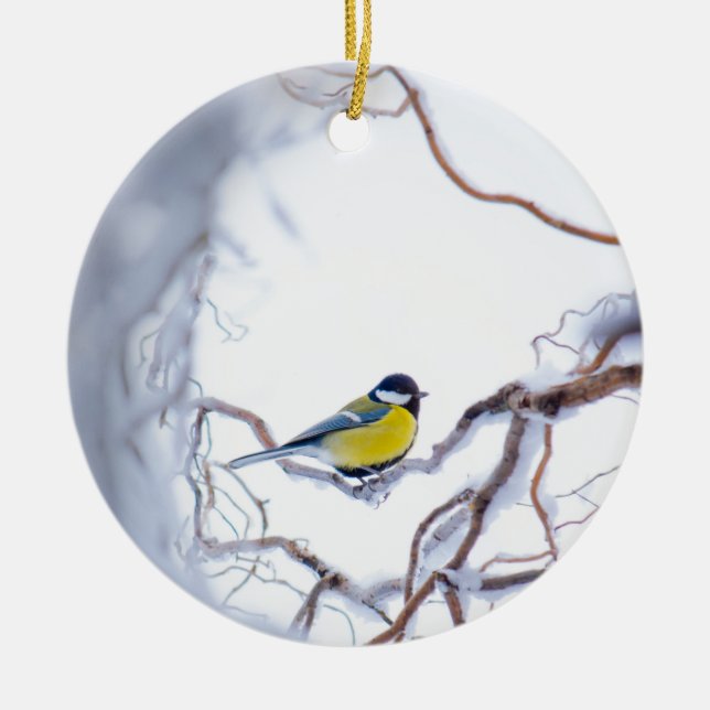 Blauer Tit-Vogel gehockte Keramik Ornament (Vorne)