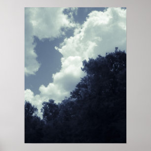 Blauer Töne, Himmel und Bäume Poster