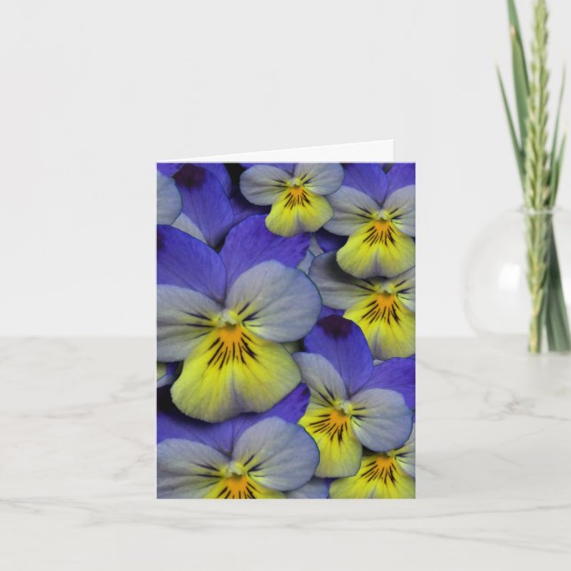 Blauer u. gelber wilder Pansy danken Ihnen zu Dankeskarte (Vorderseite)