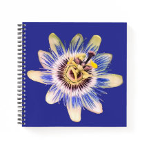 Blauer und cremefarbene Blume