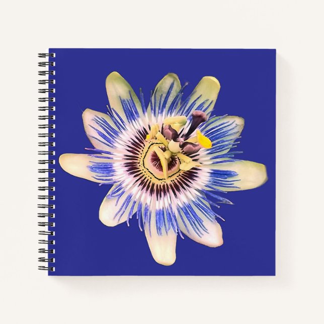 Blauer und cremefarbene Blume Notizbuch (Vorderseite)
