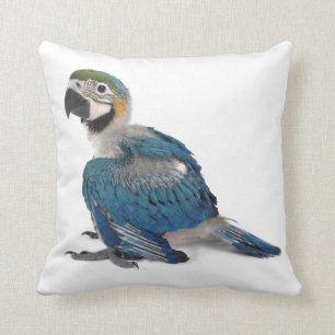 Blauer und gelber Macaw Kissen