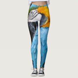 Blauer und gelber putzender Macaw Leggings