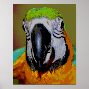 Blauer und goldener Papagei mit Abstrakter Kunst Poster