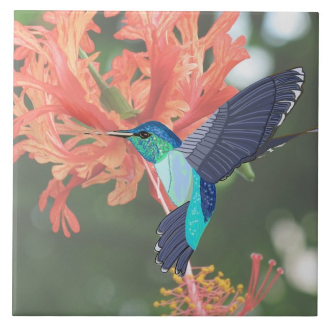 Blauer und grüner Hummingvogel und Orange-Hibiskus Fliese (Vorderseite)