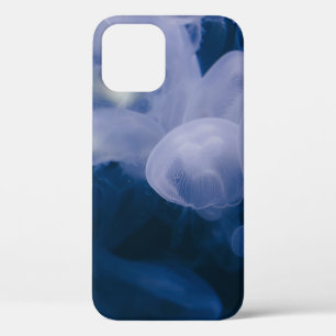 BLAUER UND WEISS Case-Mate iPhone HÜLLE