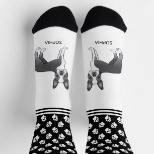 Blauer und weißer Boston Terrier mit Namen und Pfo Socken