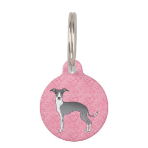 Blauer und weißer Italienischer Windhund auf rosa  Haustiermarke