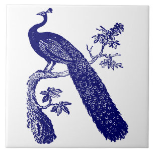 Blauer und weißer Pfau Fliese