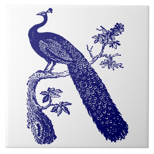 Blauer und weißer Pfau Fliese (Vorderseite)