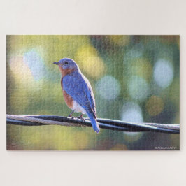 Blauer Vogel