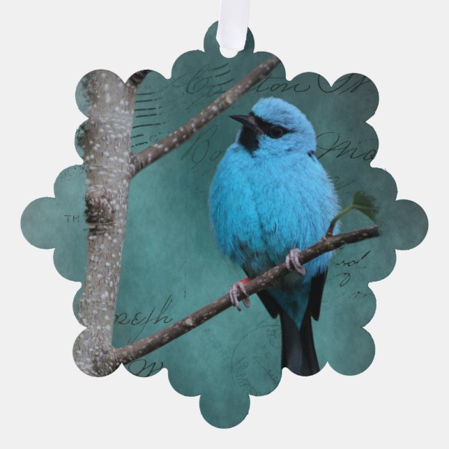 Blauer Vogel auf Zweig-Mixed-Medien Ornament Karte (Vorderseite)