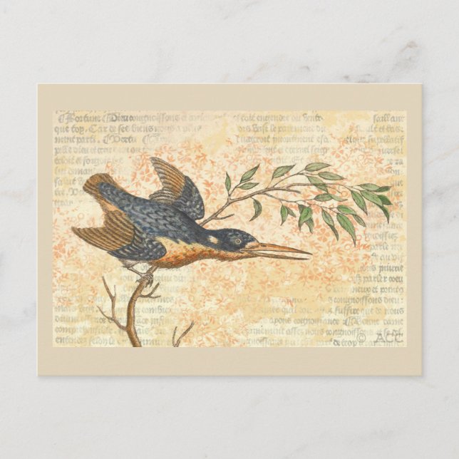 Blauer Vogel auf Zweig Postkarte (Vorderseite)