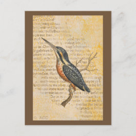 Blauer Vogel auf Zweig Postkarte