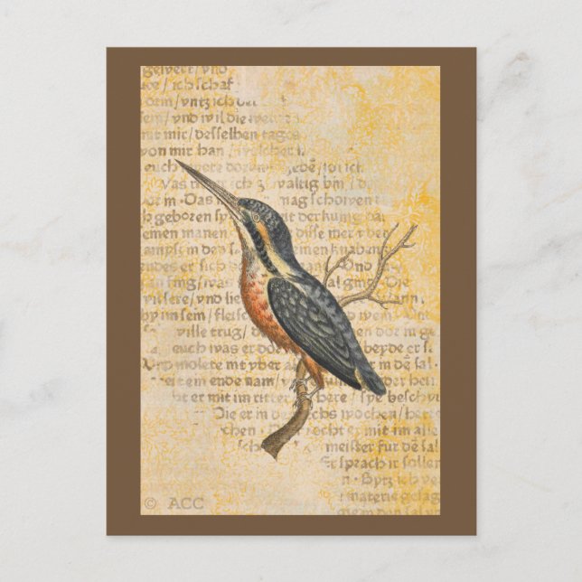 Blauer Vogel auf Zweig Postkarte (Vorderseite)