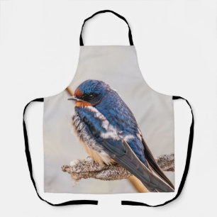 Blauer Vogel, Barnschlucht, kanadische Fotografie Schürze